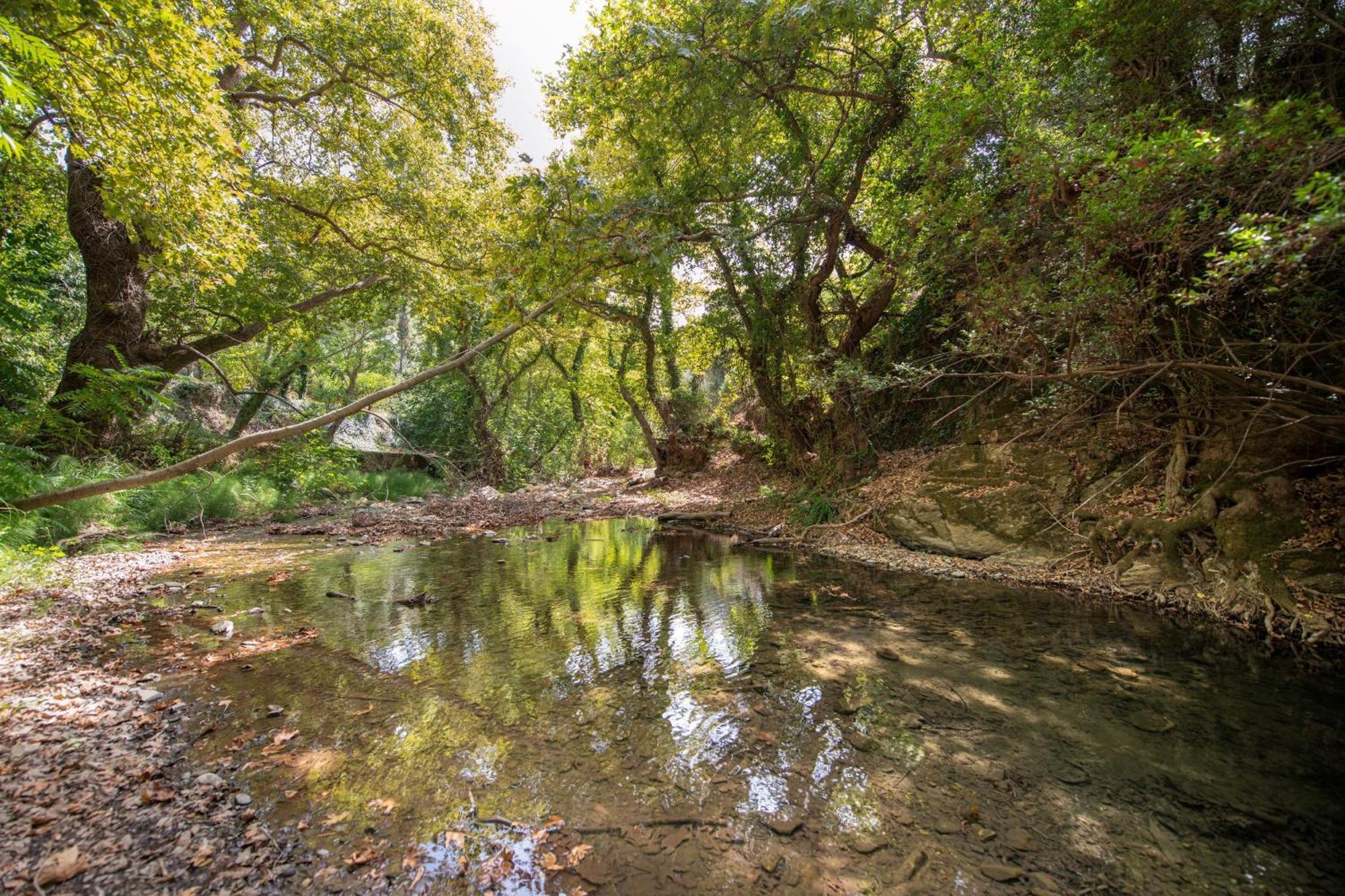 Serenity River 別墅 Palaiochora